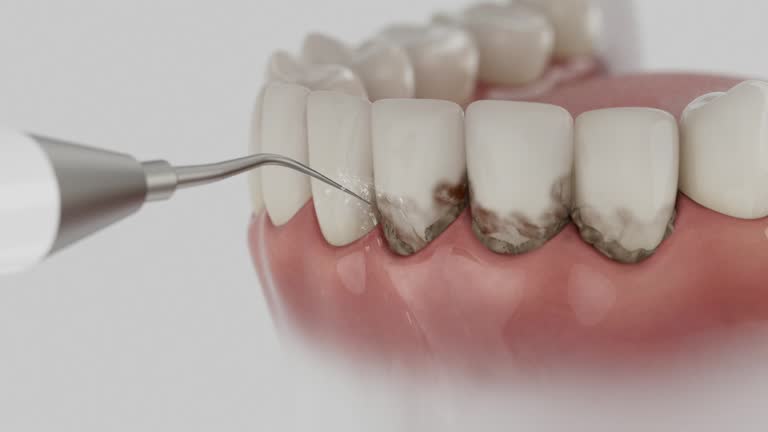 Reliable Dental contractor in Richmond, KY by Dentist Open Now